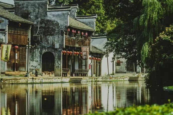 救援海盗章鱼
